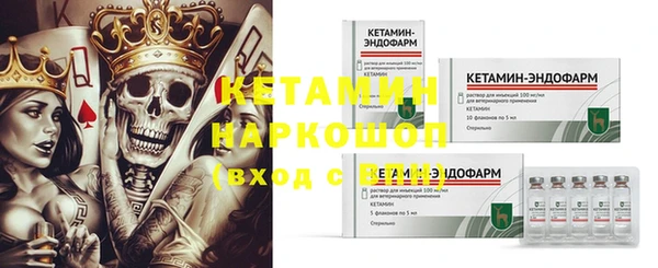 ГАЛЛЮЦИНОГЕННЫЕ ГРИБЫ Кедровый