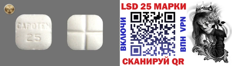 ЛСД экстази ecstasy  KRAKEN маркетплейс  Берёзовка 